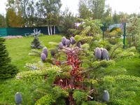 IMG_20180901_204816.webp
