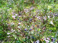 IMG_20180902_162900.jpg