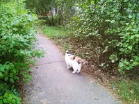 IMG_20180902_164044.webp