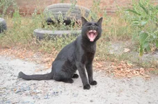 DSC_2688.jpg