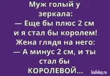 .webp