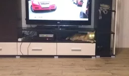 дальний.jpg