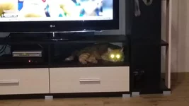 дальний2.jpg