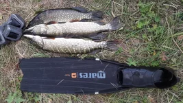 20180912_170828.jpg