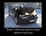 igor7-19041719215621_70.webp