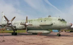 il20-2.webp
