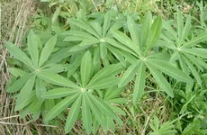 2 (15).webp