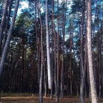 IMG_20131112_201058.jpg