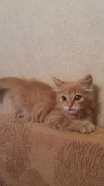 20180923_093006.jpg