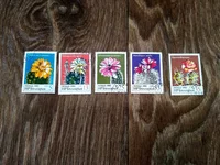 IMG_20180920_175724_HDR.webp