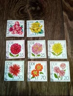 IMG_20180920_180654_HDR.webp
