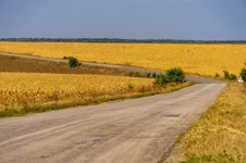 20180922-DSC01929-800x533.webp