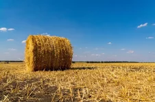 20180922-DSC01970-800x533.webp