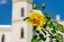 20180922-DSC01987-800x533.webp