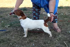 DSC07788 — копия — копия.webp