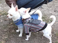 DSCF2326.webp