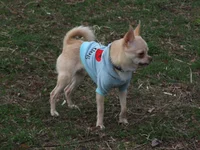 DSCF2335.webp