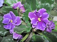  - Шедевр художника 12.04.2010.webp