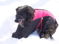 DSCN0897.webp DSCN0897.webp