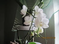 670.webp