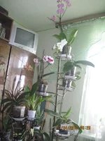 697.webp