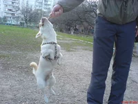 DSC00696.webp