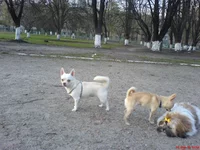 DSC00699.webp