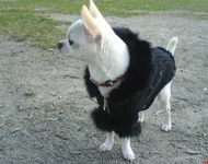 DSC00710.webp