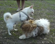 DSC00724.webp