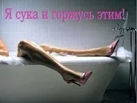 63935.webp