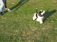 IMG_02982.webp