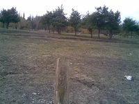 08042010(007).webp