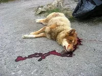 !.webp