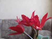 IMG_0172.jpg