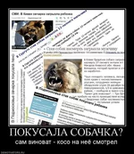 140593_pokusala-sobachka.webp
