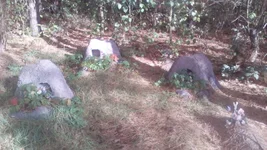 IMG_20180925_154835.webp