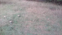 IMG_20180925_155439.webp