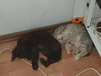 20180925_160440.webp