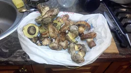 IMG_20180926_204718.jpg