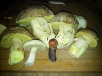 IMG_20180928_200408.webp