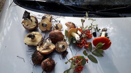 20180929_092559.jpg