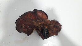 20180929_175409.jpg