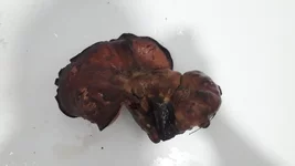 20180929_175409.jpg