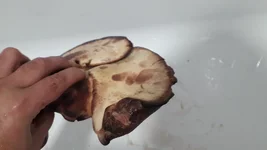 20180929_175434.jpg