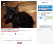 Screenshot_5.webp