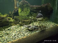 IMG_20180929_134549.webp
