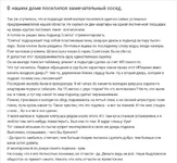 _pikabu.ru.webp