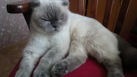 viber image.webp