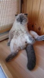 jpg.webp