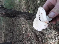 20181004_153740[1].webp